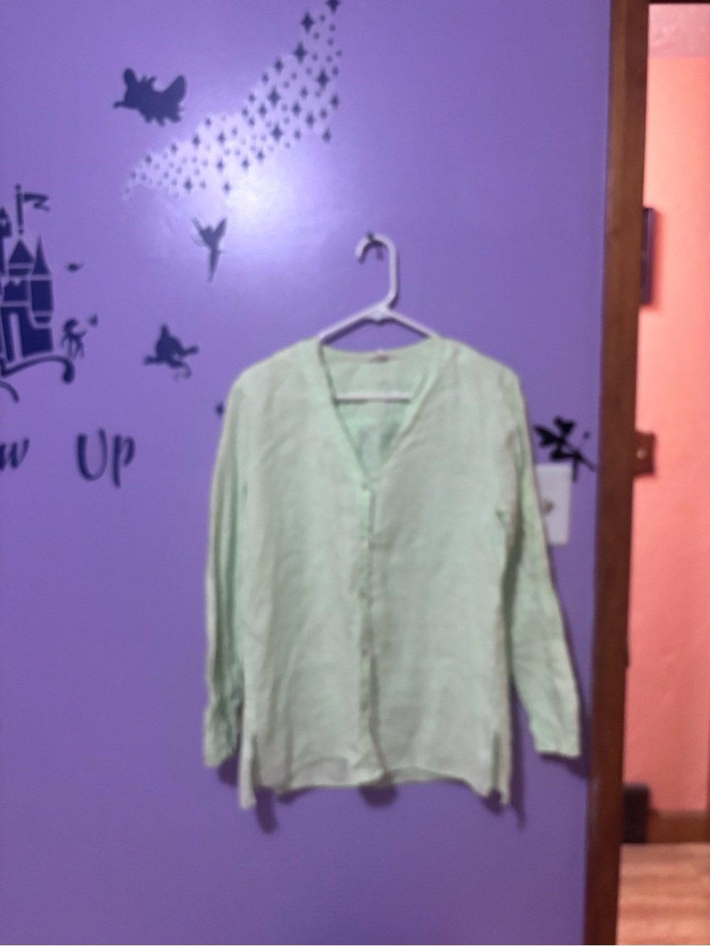 Eileen Fisher Light  lime Green Long-Sleeve Button-Front Blouse
